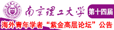 日屄视频在线观看南京理工大学第十四届海外青年学者紫金论坛诚邀海内外英才！